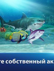 Fishing Strike на ПК на android-pk.ru